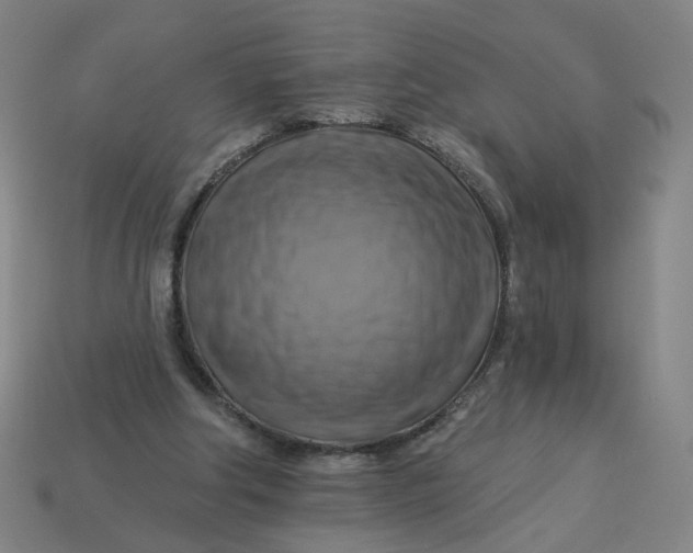 X0000113340202200910061005