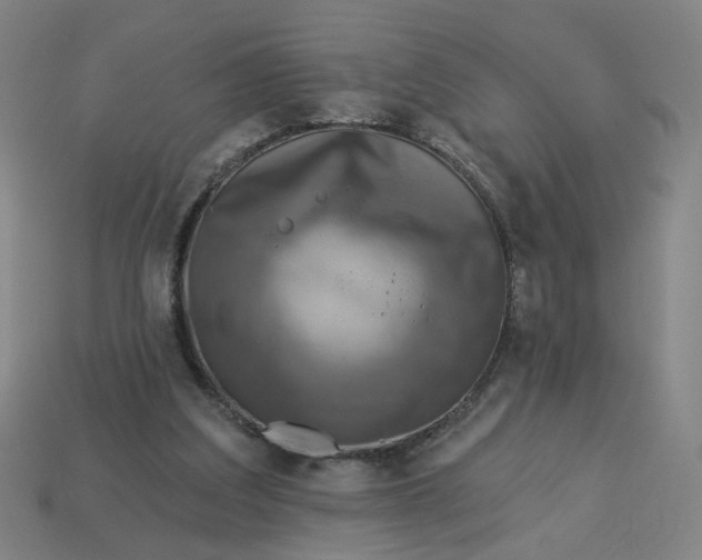 X0000113340203200910061005