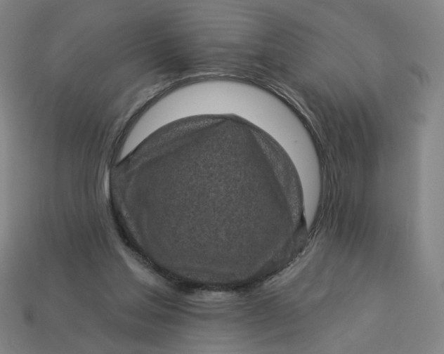 X0000113340205200910061005