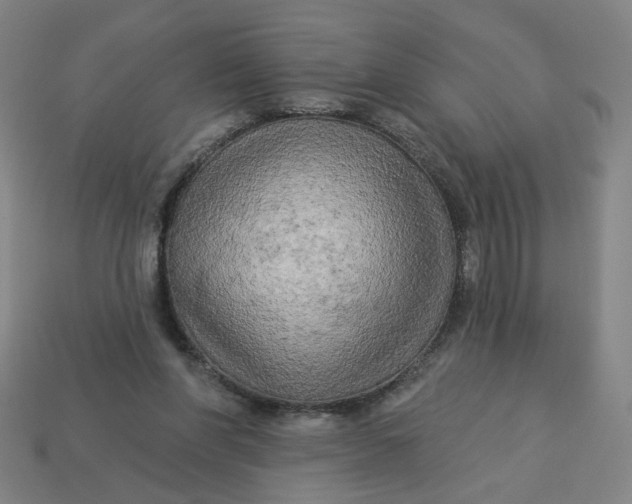 X0000113340206200910061005