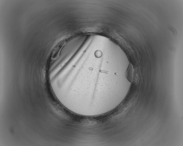 X0000113340207200910061005