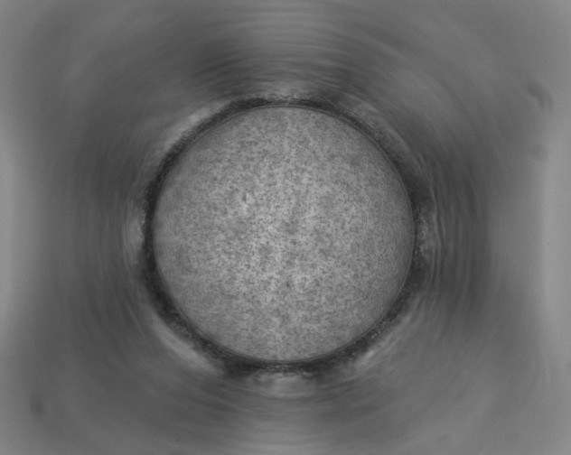 X0000113340208200910061005