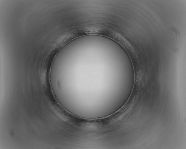 X0000113340209200910061005