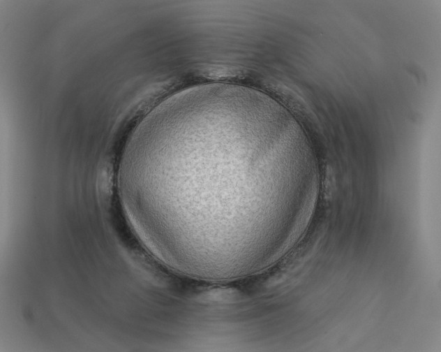 X0000113340210200910061005