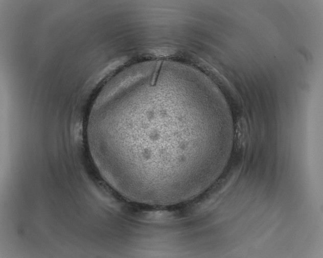 X0000113340212200910061005