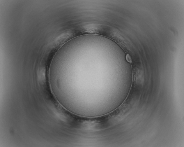 X0000113340213200910061005