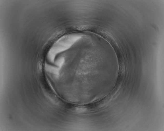 X0000113340214200910061005