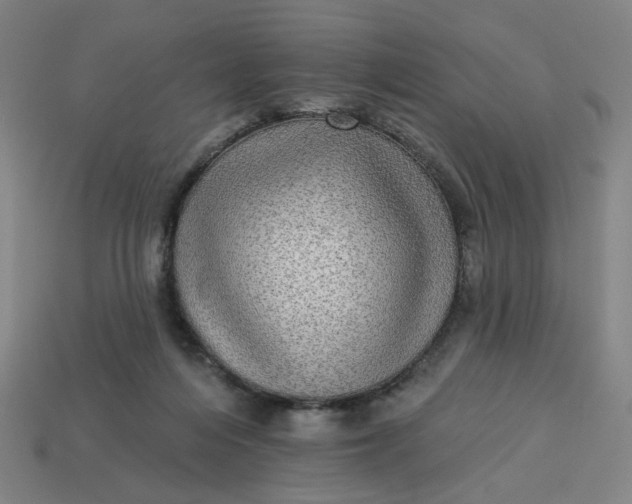 X0000113340216200910061005