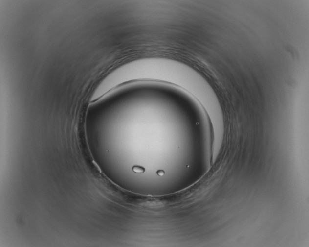 X0000113340217200910061005