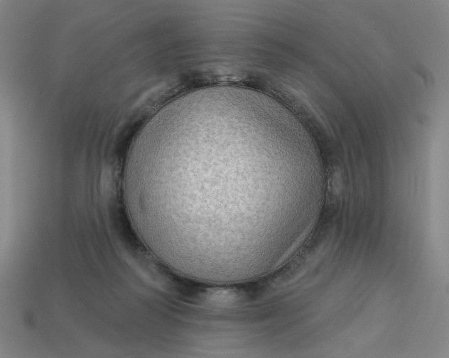 X0000113340218200910061005