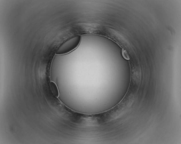 X0000113340221200910061005