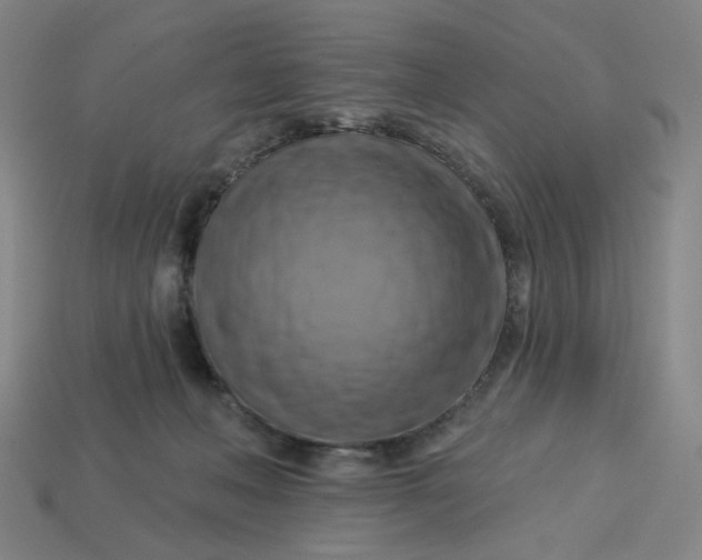 X0000113340222200910061005