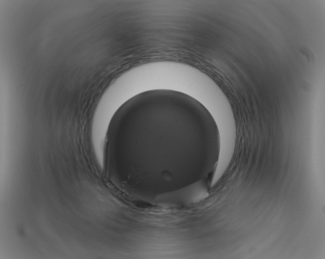 X0000113340223200910061005