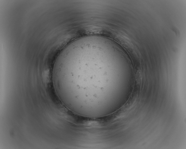 X0000113340224200910061005