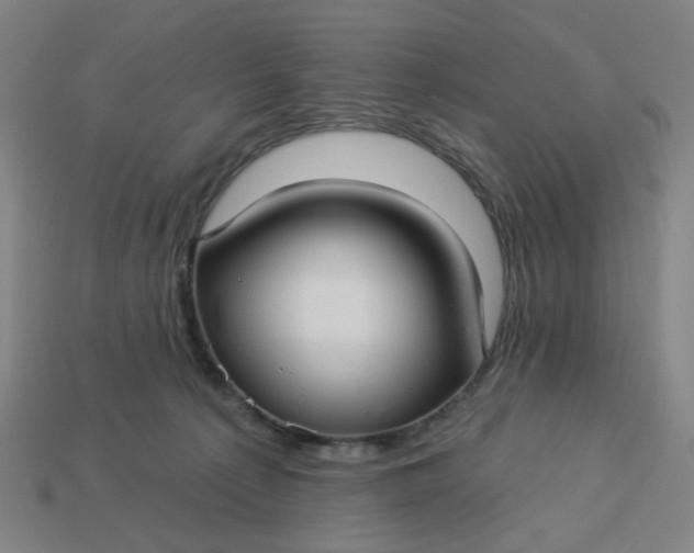X0000113340225200910061005
