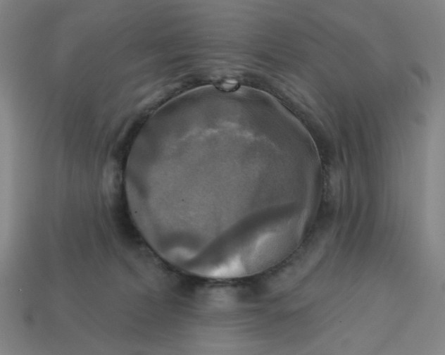X0000113340228200910061005