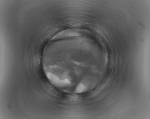 X0000113340230200910061005