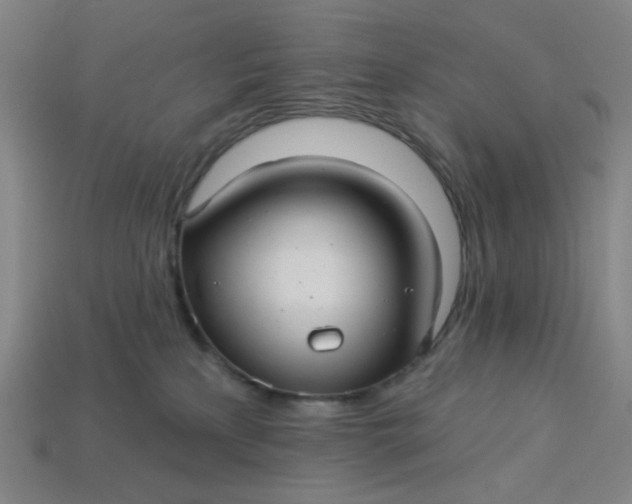 X0000113340233200910061004