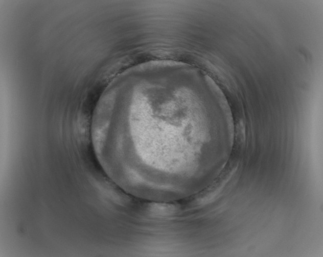 X0000113340234200910061004