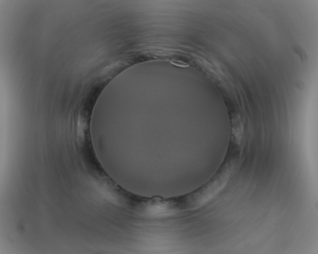 X0000113340235200910061004