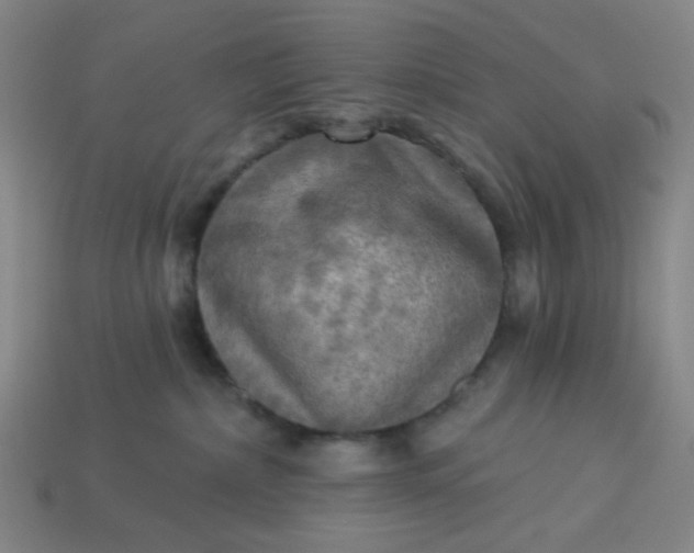 X0000113340236200910061004