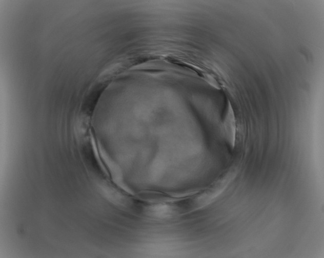 X0000113340237200910061004