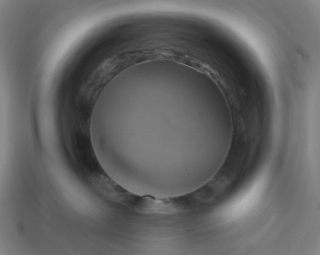 X0000113340239200910061004
