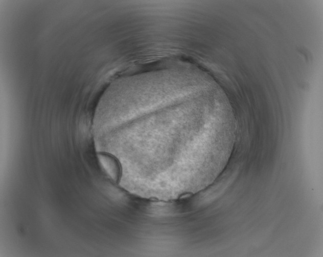X0000113340240200910061004