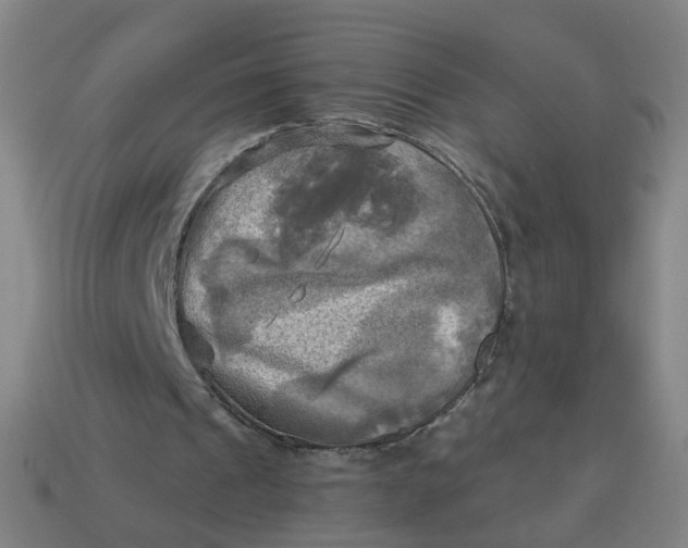 X0000113340241200910061004