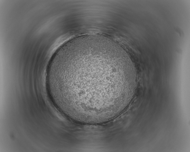 X0000113340242200910061004