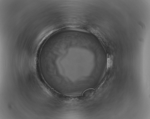 X0000113340243200910061004