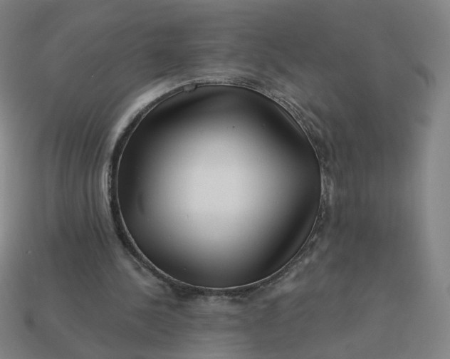 X0000113340244200910061004