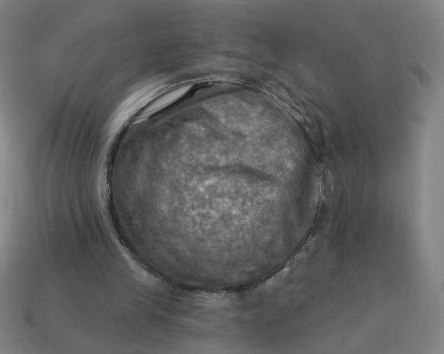 X0000113340245200910061004