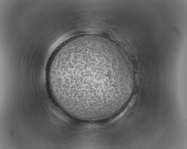 X0000113340246200910061004