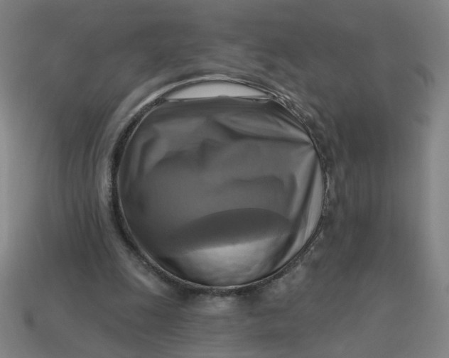 X0000113340247200910061004