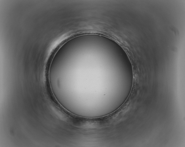 X0000113340248200910061004