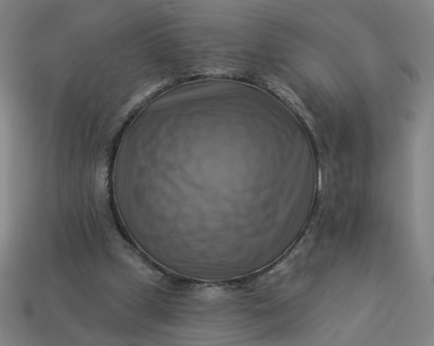 X0000113340249200910061004