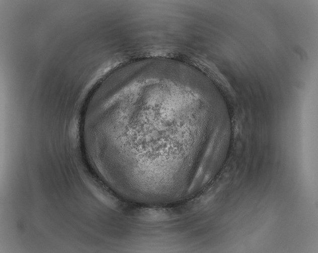 X0000113340250200910061004