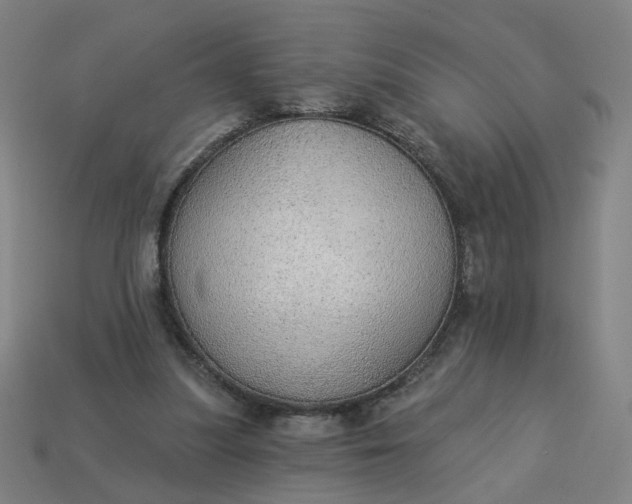 X0000113340251200910061004