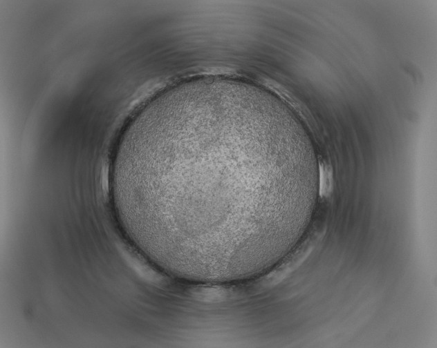 X0000113340253200910061004