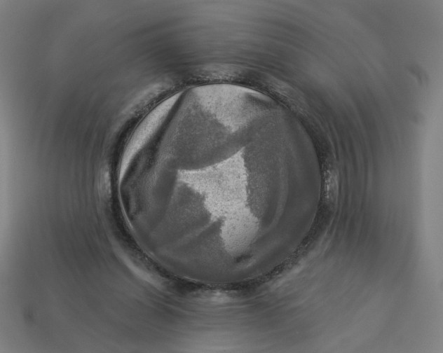 X0000113340254200910061004