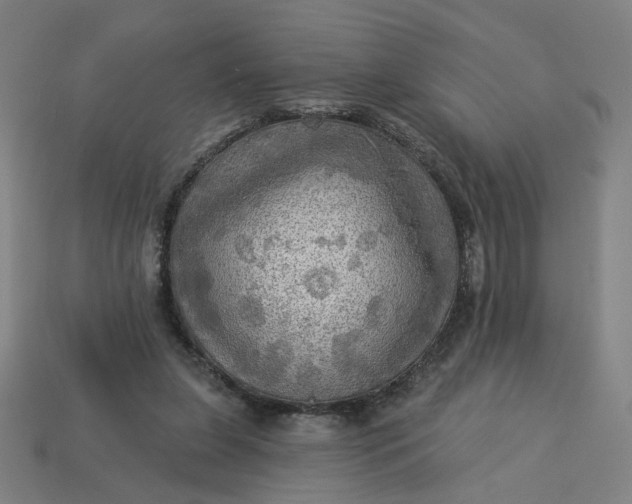 X0000113340255200910061004
