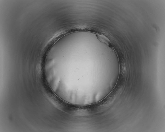 X0000113340256200910061004