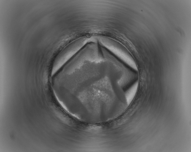 X0000113340257200910061004