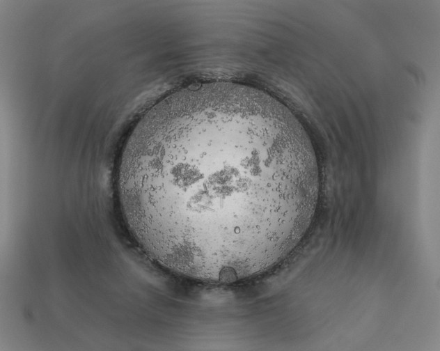 X0000113340258200910061004