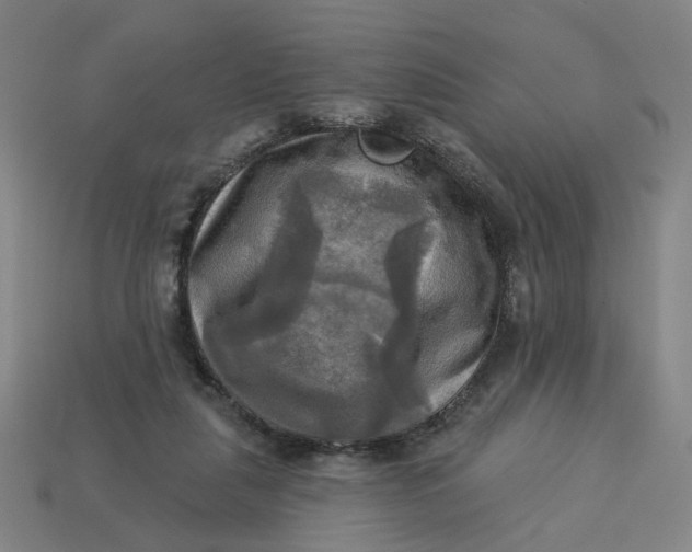 X0000113340259200910061004