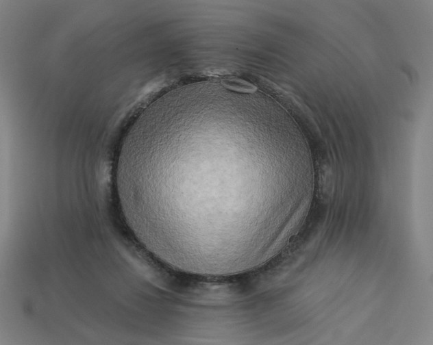 X0000113340260200910061004