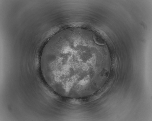 X0000113340261200910061004