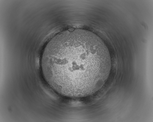 X0000113340262200910061004
