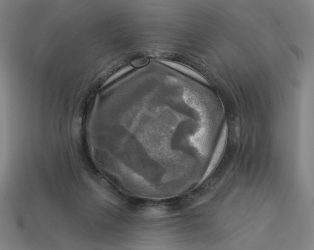 X0000113340263200910061004